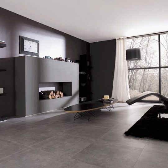Rhin gris