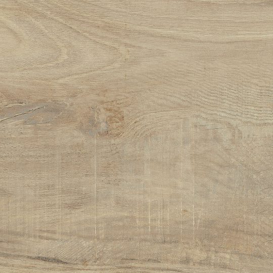 Castelvetro Woodland 30×120 Elm.tif