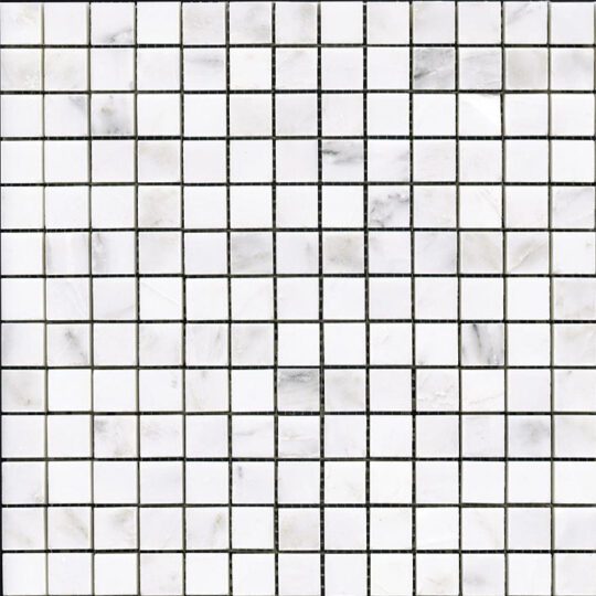 VICTORIAN BLANCO MARMARA (2) 29X29X1